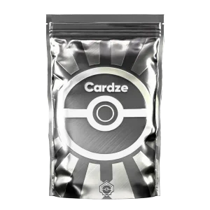 Pack Pokémon Silver Cardze